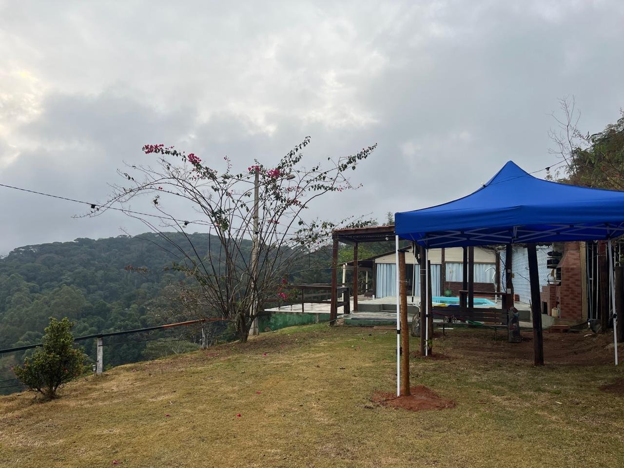 Gramado amplo com tenda e árvores
