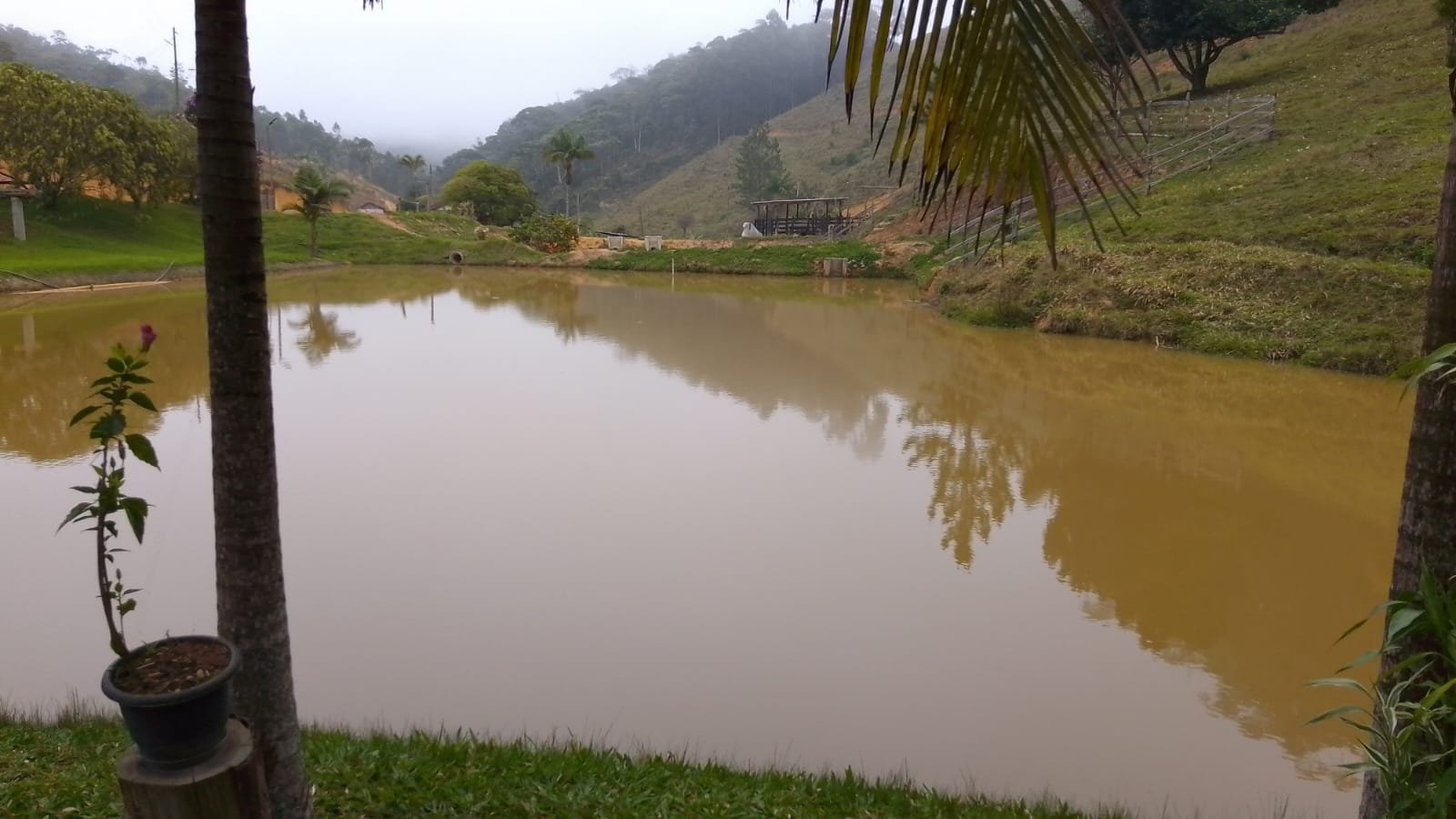 Lago grande em manhã de neblina