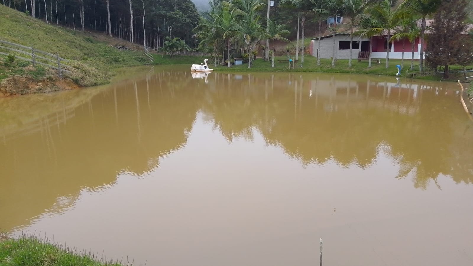 Lago grande com o pedalinho ao fundo, entre as palmeiras