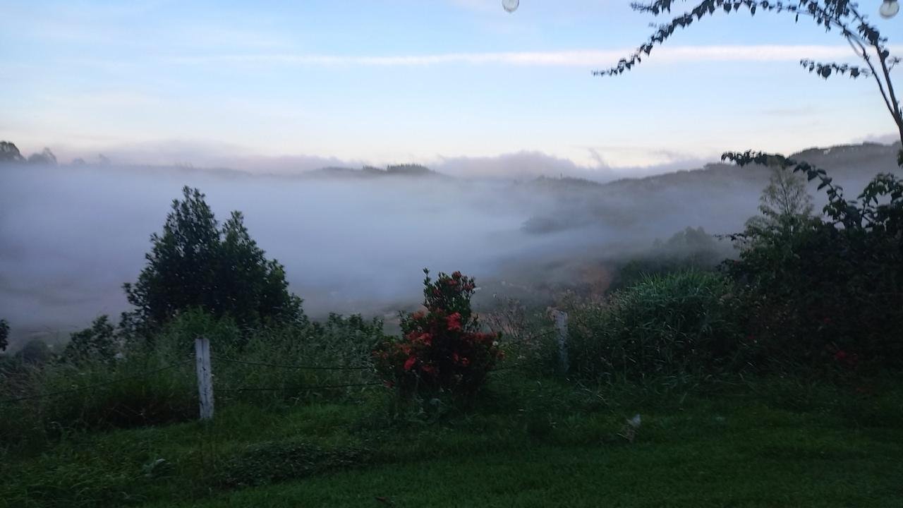 Neblina no vale vista do jardim, com flores vermelhas