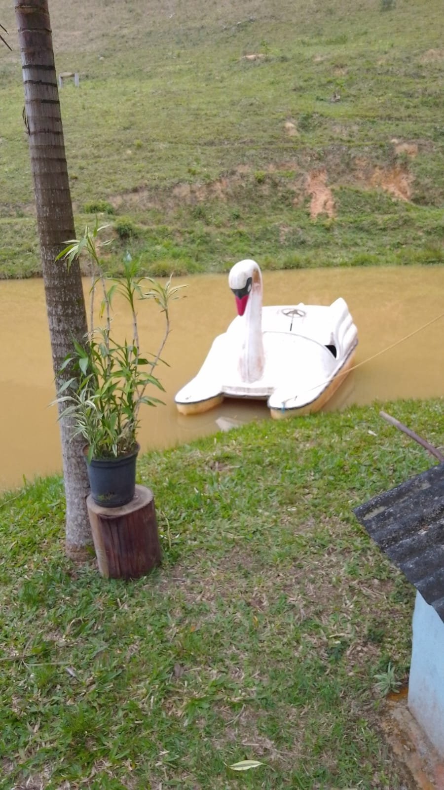 Pedalinho em forma de cisne parado na beira do lago
